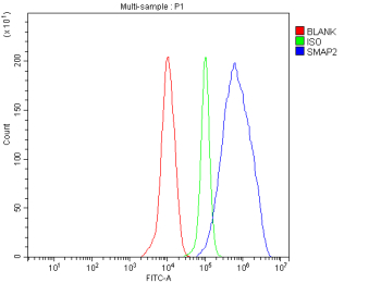Flow Cytometry analysis of THP-1 cells using anti-SMAP2 antibody. Overlay histogram showing THP-1 cells stained with (Blue line). To facilitate intracellular staining, cells were fixed with 4% paraformaldehyde and permeabilized with permeabilization buffer. The cells were blocked with 10% normal goat serum. And then incubated with rabbit anti-SMAP2 antibody (1 ug/million cells) for 30 min at 20oC. DyLight 488 conjugated goat anti-rabbit IgG (5-10 ug/million cells) was used as secondary antibody for 30 minutes at 20oC. Isotype control antibody (Green line) was rabbit IgG (1 ug/million cells) used under the same conditions. Unlabelled sample without incubation with primary antibody and secondary antibody (Red line) was used as a blank control.