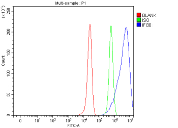 Flow Cytometry analysis of HepG2 cells using anti-IFI30 antibody. Overlay histogram showing HepG2 cells stained with (Blue line). The cells were fixed with 4% paraformaldehyde and blocked with 10% normal goat serum. And then incubated with rabbit anti-IFI30 antibody (1 ug/million cells) for 30 min at 20oC. DyLight 488 conjugated goat anti-rabbit IgG (5-10 ug/million cells) was used as secondary antibody for 30 minutes at 20oC. Isotype control antibody (Green line) was rabbit IgG (1 ug/million cells) used under the same conditions. Unlabelled sample (Red line) was also used as a control.