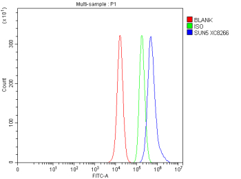 Flow Cytometry analysis of human PC-3 cells using anti-SUN5 antibody. Overlay histogram showing PC-3 cells stained with (Blue line). To facilitate intracellular staining, cells were fixed with 4% paraformaldehyde and permeabilized with permeabilization buffer. The cells were blocked with 10% normal goat serum. And then incubated with rabbit anti-SUN5 antibody (1 ug/million cells) for 30 min at 20oC. DyLight 488 conjugated goat anti-rabbit IgG (5-10 ug/million cells) was used as secondary antibody for 30 minutes at 20oC. Isotype control antibody (Green line) was rabbit IgG (1 ug/million cells) used under the same conditions. Unlabelled sample without incubation with primary antibody and secondary antibody (Red line) was used as a blank control.