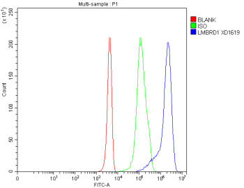 Flow Cytometry analysis of 293T cells using anti-LMBRD1 antibody. Overlay histogram showing 293T cells stained with (Blue line). To facilitate intracellular staining, cells were fixed with 4% paraformaldehyde and permeabilized with permeabilization buffer. The cells were blocked with 10% normal goat serum. And then incubated with rabbit anti-LMBRD1 antibody (1 ug/million cells) for 30 min at 20oC. DyLight 488 conjugated goat anti-rabbit IgG (5-10 ug/million cells) was used as secondary antibody for 30 minutes at 20oC. Isotype control antibody (Green line) was rabbit IgG (1 ug/million cells) used under the same conditions. Unlabelled sample without incubation with primary antibody and secondary antibody (Red line) was used as a blank control.