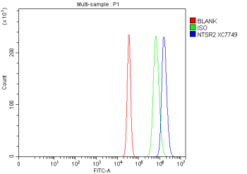 Flow Cytometry analysis of Neuro-2a cells using anti-NTSR2 antibody. Overlay histogram showing Neuro-2a cells stained with (Blue line). To facilitate intracellular staining, cells were fixed with 4% paraformaldehyde and permeabilized with permeabilization buffer. The cells were blocked with 10% normal goat serum. And then incubated with rabbit anti-NTSR2 antibody (1 ug/million cells) for 30 min at 20oC. DyLight 488 conjugated goat anti-rabbit IgG (5-10 ug/million cells) was used as secondary antibody for 30 minutes at 20oC. Isotype control antibody (Green line) was rabbit IgG (1 ug/million cells) used under the same conditions. Unlabelled sample without incubation with primary antibody and secondary antibody (Red line) was used as a blank control.