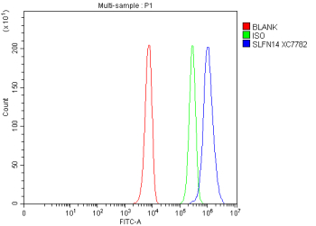 Flow Cytometry analysis of K562 cells using anti-SLFN14 antibody. Overlay histogram showing K562 cells stained with (Blue line). To facilitate intracellular staining, cells were fixed with 4% paraformaldehyde and permeabilized with permeabilization buffer. The cells were blocked with 10% normal goat serum. And then incubated with rabbit anti-SLFN14 antibody (1 ug/million cells) for 30 min at 20oC. DyLight 488 conjugated goat anti-rabbit IgG (5-10 ug/million cells) was used as secondary antibody for 30 minutes at 20oC. Isotype control antibody (Green line) was rabbit IgG (1 ug/million cells) used under the same conditions. Unlabelled sample without incubation with primary antibody and secondary antibody (Red line) was used as a blank control.