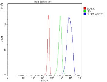 Flow Cytometry analysis of 293T cells using anti-PLCD1 antibody. Overlay histogram showing 293T cells stained with (Blue line). The cells were fixed with 4% paraformaldehyde and blocked with 10% normal goat serum. And then incubated with rabbit anti-PLCD1 antibody (1 ug/million cells) for 30 min at 20oC. DyLight 488 conjugated goat anti-rabbit IgG (5-10 ug/million cells) was used as secondary antibody for 30 minutes at 20oC. Isotype control antibody (Green line) was rabbit IgG (1 ug/million cells) used under the same conditions. Unlabelled sample without incubation with primary antibody and secondary antibody (Red line) was used as a blank control.