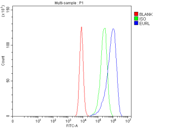 Flow Cytometry analysis of Caco-2 cells using anti-EURL antibody. Overlay histogram showing Caco-2 cells stained with (Blue line). To facilitate intracellular staining, cells were fixed with 4% paraformaldehyde and permeabilized with permeabilization buffer. The cells were blocked with 10% normal goat serum. And then incubated with rabbit anti-EURL antibody (1 ug/million cells) for 30 min at 20oC. DyLight 488 conjugated goat anti-rabbit IgG (5-10 ug/million cells) was used as secondary antibody for 30 minutes at 20oC. Isotype control antibody (Green line) was rabbit IgG (1 ug/million cells) used under the same conditions. Unlabelled sample without incubation with primary antibody and secondary antibody (Red line) was used as a blank control.