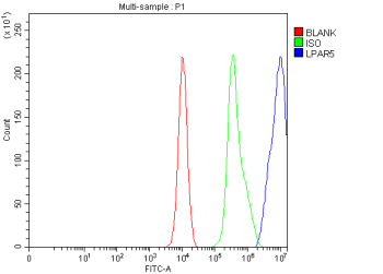 Flow Cytometry analysis of K562 cells using anti-LPAR5 antibody. Overlay histogram showing K562 cells stained with (Blue line). The cells were fixed with 4% paraformaldehyde and blocked with 10% normal goat serum. And then incubated with rabbit anti-LPAR5 antibody (1 ug/million cells) for 30 min at 20oC. DyLight 488 conjugated goat anti-rabbit IgG (5-10 ug/million cells) was used as secondary antibody for 30 minutes at 20oC. Isotype control antibody (Green line) was rabbit IgG (1 ug/million cells) used under the same conditions. Unlabelled sample (Red line) was also used as a control.