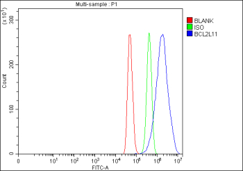 Flow Cytometry analysis of C2C12 cells using anti-Bim antibody. Overlay histogram showing C2C12 cells stained with (Blue line). To facilitate intracellular staining, cells were fixed with 4% paraformaldehyde and permeabilized with permeabilization buffer. The cells were blocked with 10% normal goat serum. And then incubated with rabbit anti-Bim antibody (1 ug/million cells) for 30 min at 20oC. DyLight 488 conjugated goat anti-rabbit IgG (5-10 ug/million cells) was used as secondary antibody for 30 minutes at 20oC. Isotype control antibody (Green line) was rabbit IgG (1 ug/million cells) used under the same conditions. Unlabelled sample (Red line) was also used as a control.