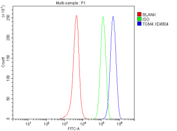 Flow Cytometry analysis of SH-SY5Y cells using anti-TGM4 antibody. Overlay histogram showing SH-SY5Y cells stained with (Blue line). To facilitate intracellular staining, cells were fixed with 4% paraformaldehyde and permeabilized with permeabilization buffer. The cells were blocked with 10% normal goat serum. And then incubated with rabbit anti-TGM4 antibody (1 ug/million cells) for 30 min at 20oC. DyLight 488 conjugated goat anti-rabbit IgG (5-10 ug/million cells) was used as secondary antibody for 30 minutes at 20oC. Isotype control antibody (Green line) was rabbit IgG (1 ug/million cells) used under the same conditions. Unlabelled sample without incubation with primary antibody and secondary antibody (Red line) was used as a blank control.