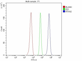 Flow Cytometry analysis of Raji cells using anti-RTKN2 antibody. Overlay histogram showing Raji cells stained with (Blue line). To facilitate intracellular staining, cells were fixed with 4% paraformaldehyde and permeabilized with permeabilization buffer. The cells were blocked with 10% normal goat serum. And then incubated with rabbit anti-RTKN2 antibody (1 ug/million cells) for 30 min at 20oC. DyLight 488 conjugated goat anti-rabbit IgG (5-10 ug/million cells) was used as secondary antibody for 30 minutes at 20oC. Isotype control antibody (Green line) was rabbit IgG (1 ug/million cells) used under the same conditions. Unlabelled sample without incubation with primary antibody and secondary antibody (Red line) was used as a blank control.