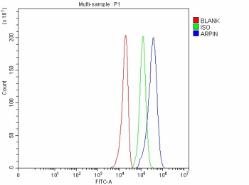 Flow Cytometry analysis of human U251 cells using anti-ARPIN antibody. Overlay histogram showing U251 cells stained with (Blue line). The cells were fixed with 4% paraformaldehyde and blocked with 10% normal goat serum. And then incubated with rabbit anti-ARPIN antibody (1 ug/million cells) for 30 min at 20oC. DyLight 488 conjugated goat anti-rabbit IgG (5-10 ug/million cells) was used as secondary antibody for 30 minutes at 20oC. Isotype control antibody (Green line) was rabbit IgG (1 ug/million cells) used under the same conditions. Unlabelled sample without incubation with primary antibody and secondary antibody (Red line) was used as a blank control.
