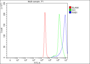 Flow Cytometry analysis of cells using anti-RAB1A antibody. Overlay histogram showing cells stained with (Blue line). To facilitate intracellular staining, cells were fixed with 4% paraformaldehyde and permeabilized with permeabilization buffer. The cells were blocked with 10% normal goat serum. And then incubated with rabbit anti-RAB1A antibody (1 ug/million cells) for 30 min at 20oC. DyLight 488 conjugated goat anti-rabbit IgG (5-10 ug/million cells) was used as secondary antibody for 30 minutes at 20oC. Isotype control antibody (Green line) was rabbit IgG (1 ug/million cells) used under the same conditions. Unlabelled sample (Red line) was also used as a control.