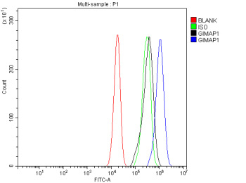 Flow Cytometry analysis of human JK cells using anti-GIMAP1 antibody. Overlay histogram showing JK cells stained with (Blue line). To facilitate intracellular staining, cells were fixed with 4% paraformaldehyde and permeabilized with permeabilization buffer. The cells were blocked with 10% normal goat serum. And then incubated with rabbit anti-GIMAP1 antibody (1 ug/million cells) for 30 min at 20oC. DyLight 488 conjugated goat anti-rabbit IgG (5-10 ug/million cells) was used as secondary antibody for 30 minutes at 20oC. Isotype control antibody (Green line) was rabbit IgG (1 ug/million cells) used under the same conditions. Unlabelled sample without incubation with primary antibody and secondary antibody (Red line) was used as a blank control. U2OS sample (Black line) was used as a negative control.