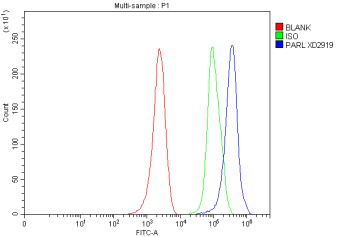 Flow Cytometry analysis of MCF-7 cells using anti-PARL antibody. Overlay histogram showing MCF-7 cells stained with (Blue line). To facilitate intracellular staining, cells were fixed with 4% paraformaldehyde and permeabilized with permeabilization buffer. The cells were blocked with 10% normal goat serum. And then incubated with rabbit anti-PARL antibody (1 ug/million cells) for 30 min at 20oC. DyLight 488 conjugated goat anti-rabbit IgG (5-10 ug/million cells) was used as secondary antibody for 30 minutes at 20oC. Isotype control antibody (Green line) was rabbit IgG (1 ug/million cells) used under the same conditions. Unlabelled sample without incubation with primary antibody and secondary antibody (Red line) was used as a blank control.
