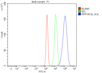 Flow Cytometry analysis of human U20S cells using anti-PPP1R13L antibody. Overlay histogram showing U20S cells stained with (Blue line). To facilitate intracellular staining, cells were fixed with 4% paraformaldehyde and permeabilized with permeabilization buffer. The cells were blocked with 10% normal goat serum. And then incubated with rabbit anti-PPP1R13L antibody (1 ug/million cells) for 30 min at 20oC. DyLight 488 conjugated goat anti-rabbit IgG (5-10 ug/million cells) was used as secondary antibody for 30 minutes at 20oC. Isotype control antibody (Green line) was rabbit IgG (1 ug/million cells) used under the same conditions. Unlabelled sample without incubation with primary antibody and secondary antibody (Red line) was used as a blank control.
