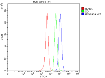 Flow Cytometry analysis of SH-SY5Y cells using anti-ADORA2A antibody. Overlay histogram showing SH-SY5Y cells stained with (Blue line). The cells were fixed with 4% paraformaldehyde and blocked with 10% normal goat serum. And then incubated with rabbit anti-ADORA2A antibody (1 ug/million cells) for 30 min at 20oC. DyLight 488 conjugated goat anti-rabbit IgG (5-10 ug/million cells) was used as secondary antibody for 30 minutes at 20oC. Isotype control antibody (Green line) was rabbit IgG (1 ug/million cells) used under the same conditions. Unlabelled sample without incubation with primary antibody and secondary antibody (Red line) was used as a blank control.