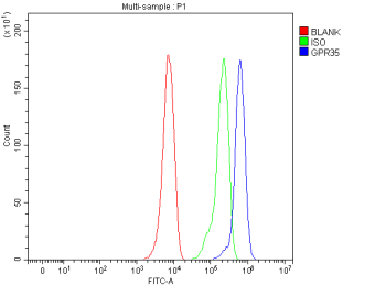 Flow Cytometry analysis of human HepG2 cells using anti-GPR35 antibody. Overlay histogram showing HepG2 cells stained with (Blue line). To facilitate intracellular staining, cells were fixed with 4% paraformaldehyde and permeabilized with permeabilization buffer. The cells were blocked with 10% normal goat serum. And then incubated with rabbit anti-GPR35 antibody (1 ug/million cells) for 30 min at 20oC. DyLight 488 conjugated goat anti-rabbit IgG (5-10 ug/million cells) was used as secondary antibody for 30 minutes at 20oC. Isotype control antibody (Green line) was rabbit IgG (1 ug/million cells) used under the same conditions. Unlabelled sample without incubation with primary antibody and secondary antibody (Red line) was used as a blank control.