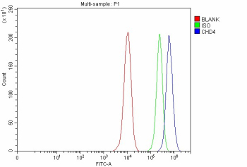 Flow Cytometry analysis of MCF-7 cells using anti-CHD4 antibody. Overlay histogram showing MCF-7 cells stained with (Blue line). To facilitate intracellular staining, cells were fixed with 4% paraformaldehyde and permeabilized with permeabilization buffer. The cells were blocked with 10% normal goat serum. And then incubated with rabbit anti-CHD4 antibody (1 ug/million cells) for 30 min at 20oC. DyLight 488 conjugated goat anti-rabbit IgG (5-10 ug/million cells) was used as secondary antibody for 30 minutes at 20oC. Isotype control antibody (Green line) was rabbit IgG (1 ug/million cells) used under the same conditions. Unlabelled sample without incubation with primary antibody and secondary antibody (Red line) was used as a blank control.