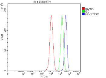 Flow Cytometry analysis of THP-1 cells using anti-HCK antibody. Overlay histogram showing THP-1 cells stained with (Blue line). The cells were fixed with 4% paraformaldehyde and blocked with 10% normal goat serum. And then incubated with rabbit anti-HCK antibody (1 ug/million cells) for 30 min at 20oC. DyLight 488 conjugated goat anti-rabbit IgG (5-10 ug/million cells) was used as secondary antibody for 30 minutes at 20oC. Isotype control antibody (Green line) was rabbit IgG (1 ug/million cells) used under the same conditions. Unlabelled sample without incubation with primary antibody and secondary antibody (Red line) was used as a blank control.