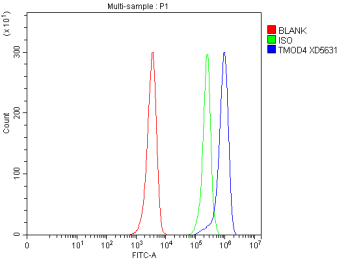 Flow Cytometry analysis of HEL cells using anti-TMOD4 antibody. Overlay histogram showing HEL cells stained with (Blue line). To facilitate intracellular staining, cells were fixed with 4% paraformaldehyde and permeabilized with permeabilization buffer. The cells were blocked with 10% normal goat serum. And then incubated with rabbit anti-TMOD4 antibody (1 ug/million cells) for 30 min at 20oC. DyLight 488 conjugated goat anti-rabbit IgG (5-10 ug/million cells) was used as secondary antibody for 30 minutes at 20oC. Isotype control antibody (Green line) was rabbit IgG (1 ug/million cells) used under the same conditions. Unlabelled sample without incubation with primary antibody and secondary antibody (Red line) was used as a blank control.