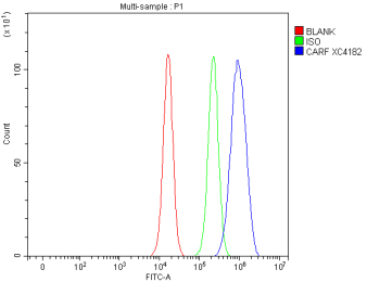 Flow Cytometry analysis of mouse NIH/3T3 cells using anti-Carf antibody. Overlay histogram showing NIH/3T3 cells stained with (Blue line). To facilitate intracellular staining, cells were fixed with 4% paraformaldehyde and permeabilized with permeabilization buffer. The cells were blocked with 10% normal goat serum. And then incubated with rabbit anti-Carf antibody (1 ug/million cells) for 30 min at 20oC. DyLight 488 conjugated goat anti-rabbit IgG (5-10 ug/million cells) was used as secondary antibody for 30 minutes at 20oC. Isotype control antibody (Green line) was rabbit IgG (1 ug/million cells) used under the same conditions. Unlabelled sample without incubation with primary antibody and secondary antibody (Red line) was used as a blank control.