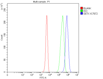 Flow Cytometry analysis of human 293T cells using anti-Senataxin antibody. Overlay histogram showing 293T cells stained with (Blue line). To facilitate intracellular staining, cells were fixed with 4% paraformaldehyde and permeabilized with permeabilization buffer. The cells were blocked with 10% normal goat serum. And then incubated with rabbit anti-Senataxin antibody (1 ug/million cells) for 30 min at 20oC. DyLight 488 conjugated goat anti-rabbit IgG (5-10 ug/million cells) was used as secondary antibody for 30 minutes at 20oC. Isotype control antibody (Green line) was rabbit IgG (1 ug/million cells) used under the same conditions. Unlabelled sample without incubation with primary antibody and secondary antibody (Red line) was used as a blank control.