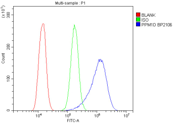Flow cytometry analysis of fixed and permeabilized human A431 cells with PPM1D antibody at 1ug/million cells (blocked with goat sera); Red=cells alone, Green=isotype control, Blue= PPM1D antibody.