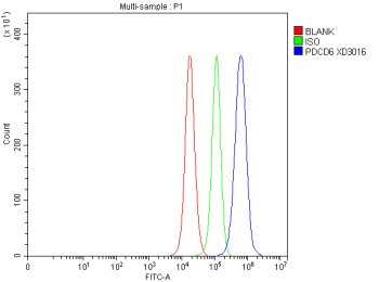 Flow cytometry analysis of fixed human PC-3 cells with PDCD6 antibody at 1ug/million cells (blocked with goat sera); Red=cells alone, Green=isotype control, Blue= PDCD6 antibody.