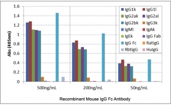 ELISA of mouse immunoglobulins shows the recombinant Mouse IgG Fc antibody reacts to the Fc region of mouse IgG1, IgG2a, and IgG2b, and very slightly to IgG3; no cross reactivity with IgM, IgA, IgE, human IgG, rat IgG, and rabbit IgG. The plate was coated with 50 ng/well of different immunoglobulins. 500 ng/mL, 200 ng/mL, or 50 ng/mL of RMG06 was used as the primary and an alkaline phosphatase conjugated anti-goat IgG as the secondary.