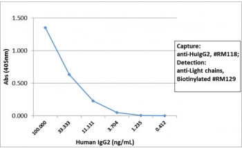 Sandwich ELISA with human IgG2 using recombinant Human IgG2 antibody as the capture, and biotinylated anti-human light chains (κ+λ) antibody RM129 as the detect, followed by an AP conjugated streptavidin.