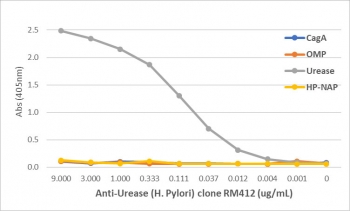 An ELISA of Helicobacter Pylori proteins using recombinant Helicobacter pylori Urease antibody. The plate was coated with 1 ug/ml of CagA, OMP, Urease, or HP-NAP of H. Pylori. A serial dilution of the RM412 mAb was used as the primary antibody. An alkaline phosphatase conjugated anti-rabbit IgG was used as the secondary antibody.