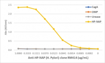 An ELISA of Helicobacter Pylori proteins using recombinant H pylori NAP antibody. The plate was coated with 1 ug/ml of CagA, OMP, Urease, or HP-NAP of H. Pylori. A serial dilution of the RM414 mAb was used as the primary antibody. An alkaline phosphatase conjugated anti-rabbit IgG was used as the secondary antibody.