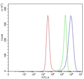 Flow cytometry testing of human Daudi cells with CD10 antibody at 1ug/million cells (blocked with goat sera); Red=cells alone, Green=isotype control, Blue= CD10 antibody.