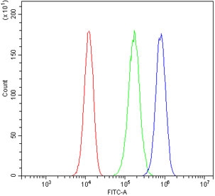 Flow cytometry testing of human 293T cells with Daxx antibody at 1ug/million cells (blocked with goat sera); Red=cells alone, Green=isotype control, Blue= Daxx antibody.