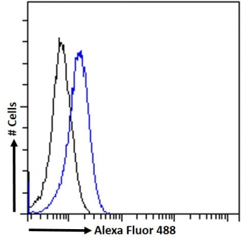 FACS testing of fixed and permeabilized human HeLa cells with RGS14 antibody (blue) at 10ug/ml and naive goat Ig (black).