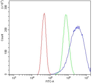 Flow cytometry testing of human A431 cells with BTG2 antibody at 1ug/million cells (blocked with goat sera); Red=cells alone, Green=isotype control, Blue= BTG2 antibody.