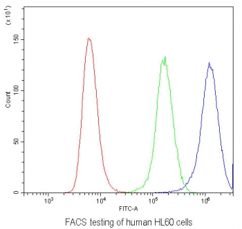 Flow cytometry testing of human HL60 cells with IL22 antibody at 1ug/10^6 cells (blocked with goat sera); Red=cells alone, Green=isotype control, Blue= IL22 antibody.