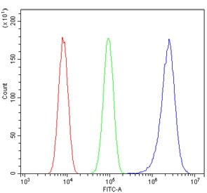Flow cytometry testing of human U-2 OS cells with CDK1 antibody at 1ug/million cells (blocked with goat sera); Red=cells alone, Green=isotype control, Blue= CDK1 antibody.