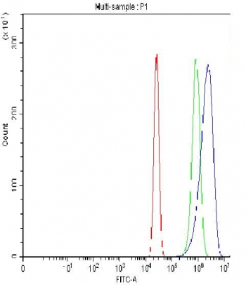 Flow cytometry testing of fixed and permeabilized human A431 cells with Oct4 antibody at 1ug/million cells (blocked with goat sera); Red=cells alone, Green=isotype control, Blue= Oct4 antibody.