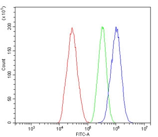 Flow cytometry testing of human HepG2 cells with Oct4 antibody at 1ug/million cells (blocked with goat sera); Red=cells alone, Green=isotype control, Blue= Oct4 antibody.