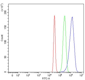 Flow cytometry testing of human HepG2 cells with Glypican 3 antibody at 1ug/million cells (blocked with goat sera); Red=cells alone, Green=isotype control, Blue= Glypican 3 antibody.