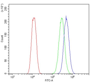 Flow cytometry testing of human U-2 OS cells with B7H4 antibody at 1ug/million cells (blocked with goat sera); Red=cells alone, Green=isotype control, Blue= B7H4 antibody.
