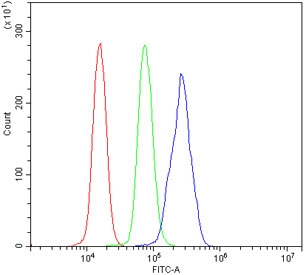 Flow cytometry testing of human U937 cells with RGS18 antibody at 1ug/million cells (blocked with goat sera); Red=cells alone, Green=isotype control, Blue= RGS18 antibody.