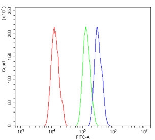 Flow cytometry testing of human A431 cells with SOX-3 antibody at 1ug/million cells (blocked with goat sera); Red=cells alone, Green=isotype control, Blue= SOX3 antibody.