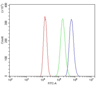 Flow cytometry testing of human A549 cells with WEE1 antibody at 1ug/million cells (blocked with goat sera); Red=cells alone, Green=isotype control, Blue= WEE1 antibody.
