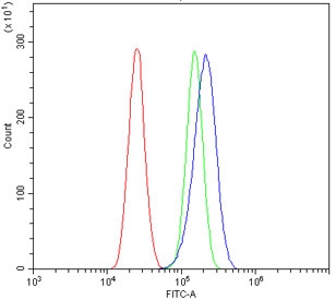 Flow cytometry testing of human U-87 MG cells with ATG7/APG7 antibody at 1ug/million cells (blocked with goat sera); Red=cells alone, Green=isotype control, Blue= ATG7/APG7 antibody.