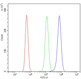 Flow cytometry testing of mouse RAW264.7 cells with CMBL antibody at 1ug/million cells (blocked with goat sera); Red=cells alone, Green=isotype control, Blue= CMBL antibody.