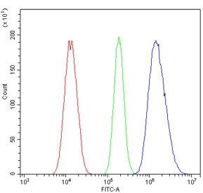Flow cytometry testing of human A549 cells with MBD1 antibody at 1ug/million cells (blocked with goat sera); Red=cells alone, Green=isotype control, Blue= MBD1 antibody.