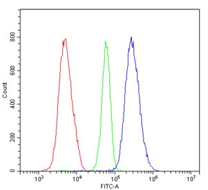 Flow cytometry testing of human HL-60 cells with RIO Kinase 1 antibody at 1ug/million cells (blocked with goat sera); Red=cells alone, Green=isotype control, Blue= RIO Kinase 1 antibody.