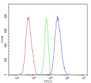 Flow cytometry testing of human HL-60 cells with RIO Kinase 1 antibody at 1ug/million cells (blocked with goat sera); Red=cells alone, Green=isotype control, Blue= RIO Kinase 1 antibody.