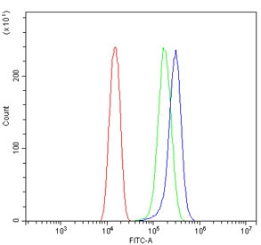 Flow cytometry testing of human U-2 OS cells with THBS1 antibody at 1ug/million cells (blocked with goat sera); Red=cells alone, Green=isotype control, Blue= THBS1 antibody.