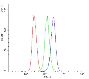 Flow cytometry testing of human Jurkat cells with ARG1 antibody at 1ug/million cells (blocked with goat sera); Red=cells alone, Green=isotype control, Blue= ARG1 antibody.